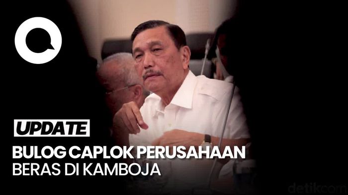 Jokowi Tunjuk Luhut Urus Bulog untuk Akuisisi Perusahaan Beras di Kamboja