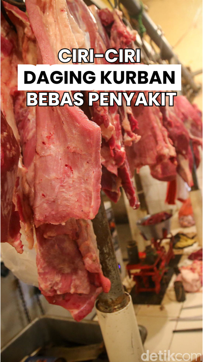 Kenali Daging Kurban yang Aman Dikonsumsi