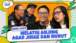 Melatih Anjing Agar Jinak dan Nurut