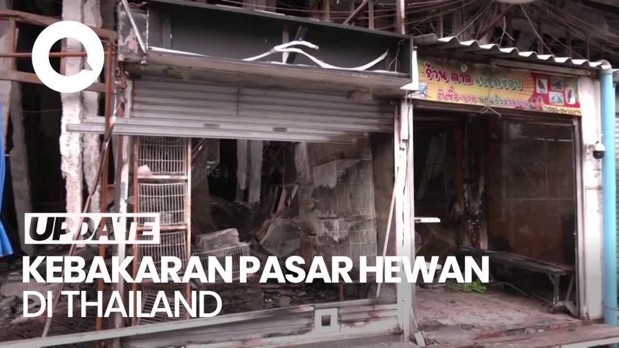 1.000 Ekor Lebih Hewan Eksotik Mati Dalam Kebakaran Pasar di Thailand