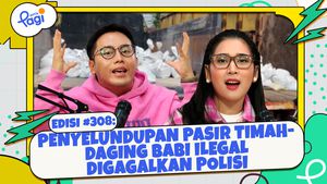 Penyelundupan Pasir Timah-Daging Babi Ilegal Digagalkan Polisi