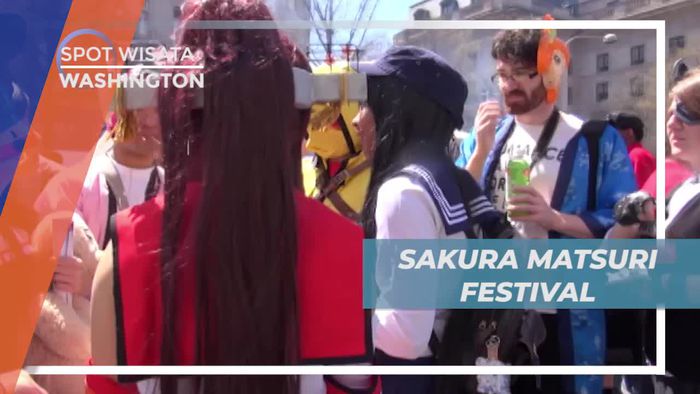 Sakura Matsuri, Festival Tahunan Budaya Khas Jepang, Washington