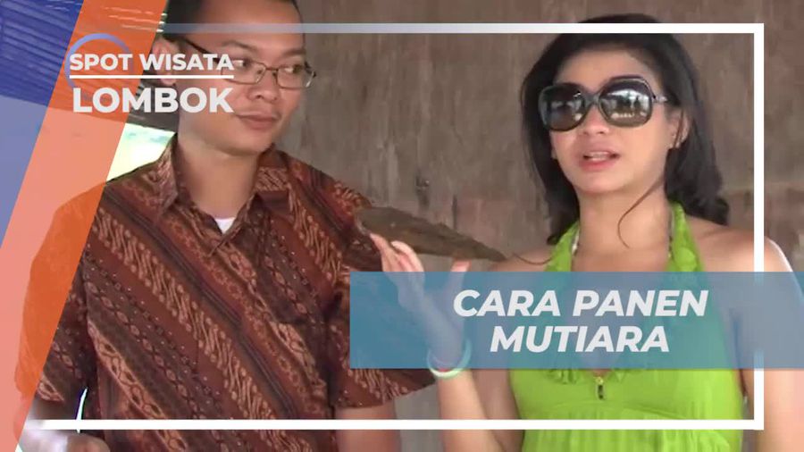 Melihat Dari Dekat Panen Mutiara di Lombok