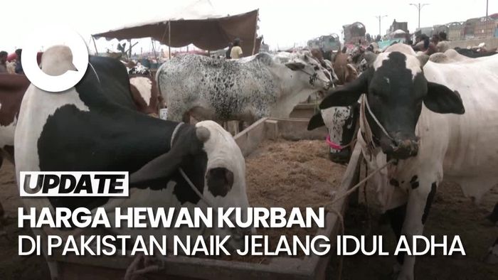 Warga Pakistan Keluhkan Kenaikan Harga Hewan Kurban 