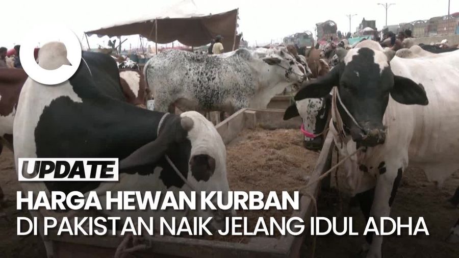 Warga Pakistan Keluhkan Kenaikan Harga Hewan Kurban 