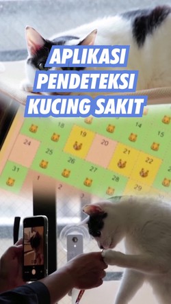 Serba-serbi Aplikasi AI Jepang yang Disebut Bisa Deteksi Kucing Sakit