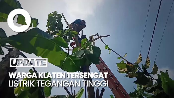 Warga Klaten Tewas Tersengat Listrik saat Pangkas Pohon