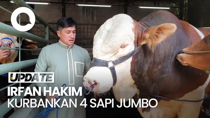 Persiapan Irfan Hakim Sambut Idul Adha