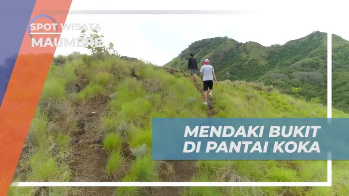 Mendaki Bukit Pantai Koka Untuk Menikmati Keindahan Alam Dari Ketinggian, Maumere