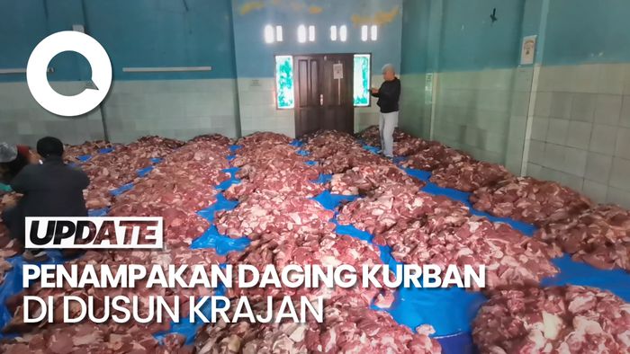 Melimpah! Daging Kurban di Dusun Krajan Capai 25 Ton
