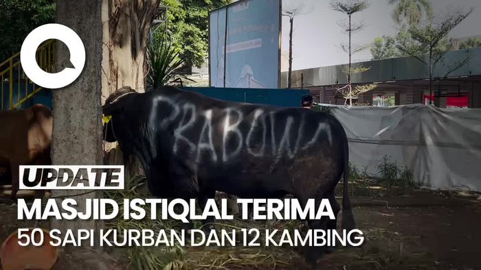 Masjid Istiqlal Terima 50 Ekor Sapi Kurban, Ada dari Jokowi-Megawati