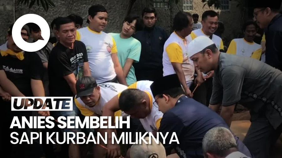 Momen Anies Sembelih Sapi Kurban Miliknya di Masjid Babul Khoirot Jaksel