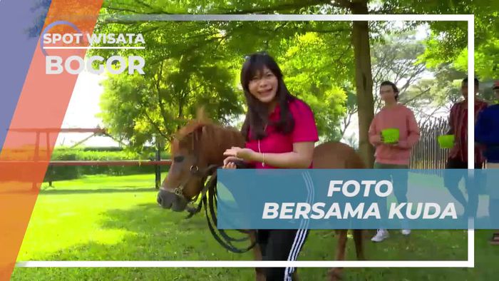 Foto-foto Lucu Bersama Kuda di Kota Bogor