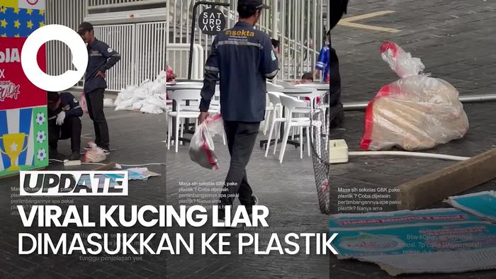Penjelasan Pengelola GBK-Vendor Buntut Viral Masukkan Kucing ke Plastik