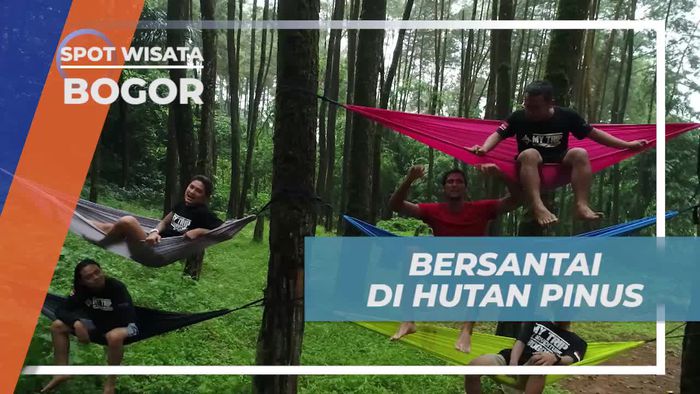Bersantai Sejenak Dengan Hammock di Hutan Pinus Bogor