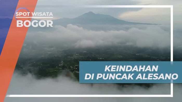Menikmati Keindahan Alam Puncak Alesano Bogor