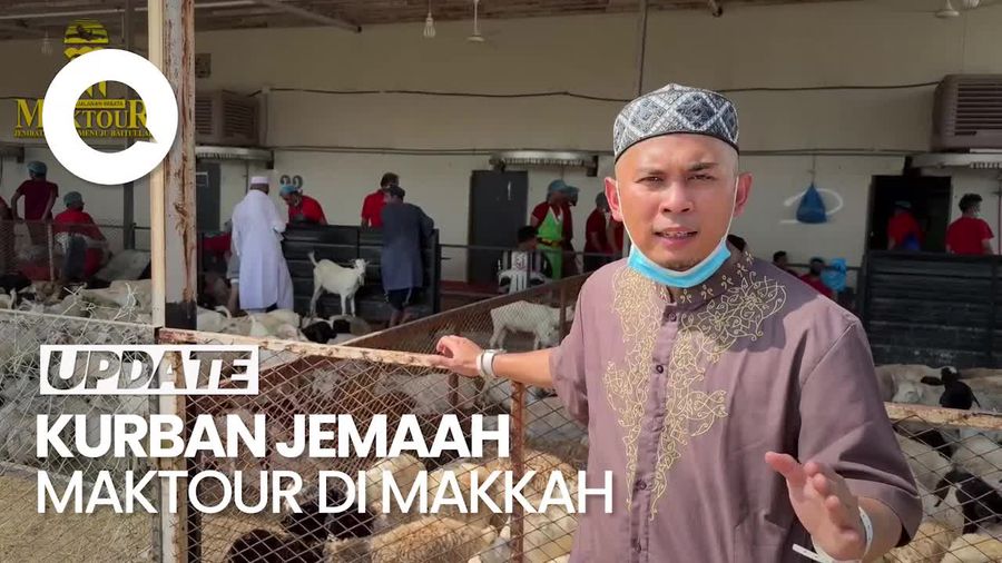 Jemaah Maktour Kurban Puluhan Kambing Gurun hingga Unta