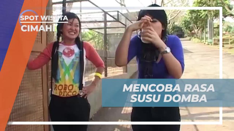 Mencicipi Cita Rasa Unik Susu Domba di Cimahi