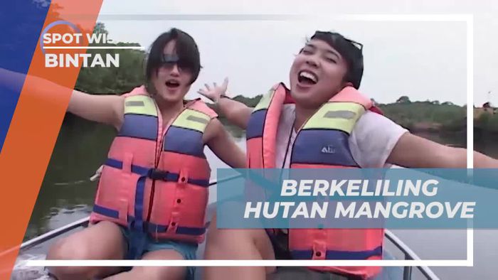 Naik Speedboat Menyusuri Keindahan Hutan Mangrove Bintan 