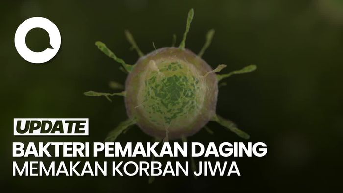  77 Orang Tewas Akibat Wabah Bakteri Pemakan Daging di Jepang