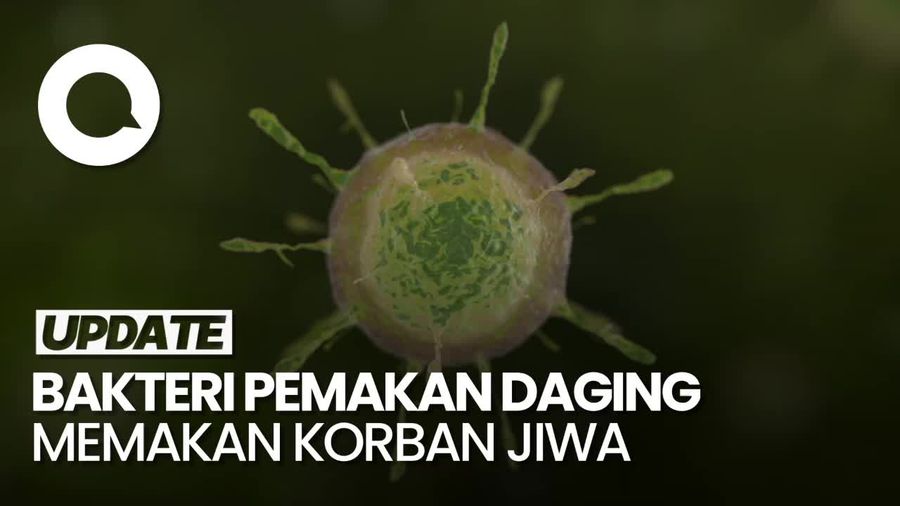  77 Orang Tewas Akibat Wabah Bakteri Pemakan Daging di Jepang