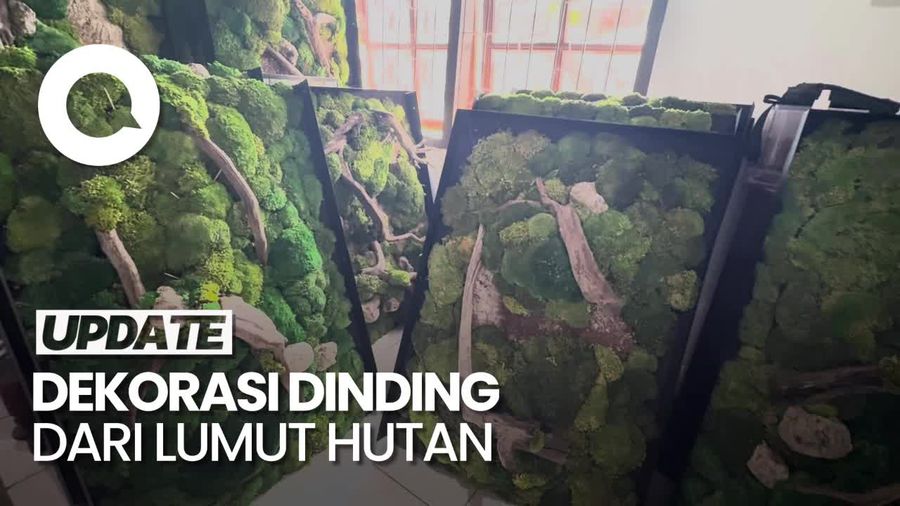 Kreasi Lumut Hutan untuk Dekorasi Artistik Bernilai Jual Tinggi