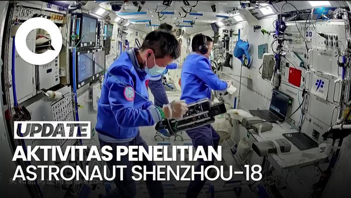 Mengintip Riset Astronaut Shenzhou-18 soal Ikan Zebra di Luar Angkasa