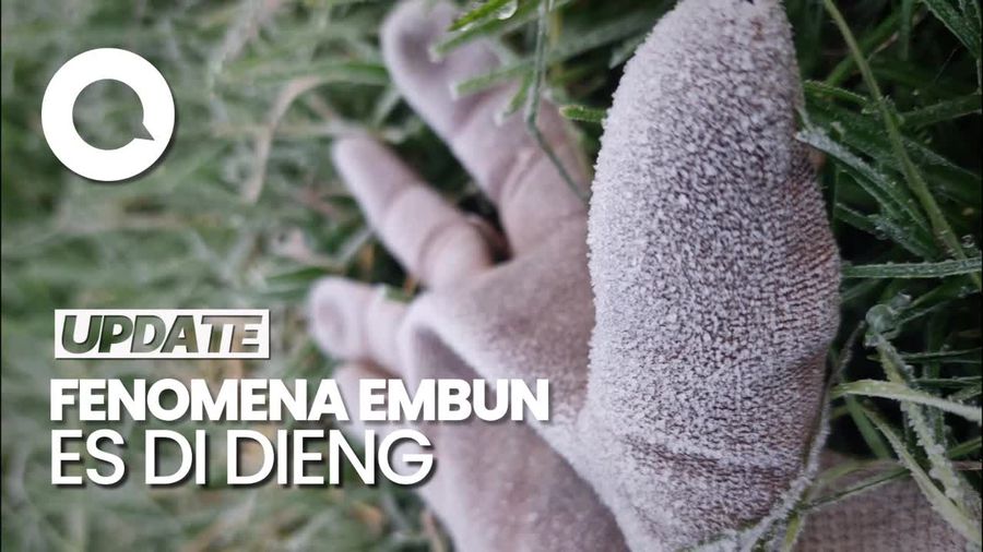 Penampakan Embun Es Selimuti Komplek Candi Arjuna Dieng