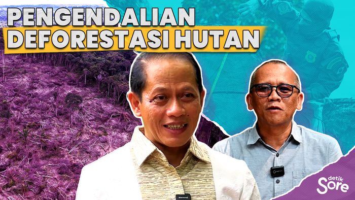 Pengendalian Deforestasi Hutan