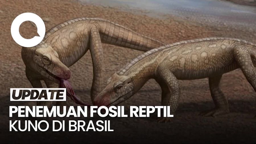 Pertama Kalinya Brasil Temukan Fosil Reptil Kuno dari Masa Trias  