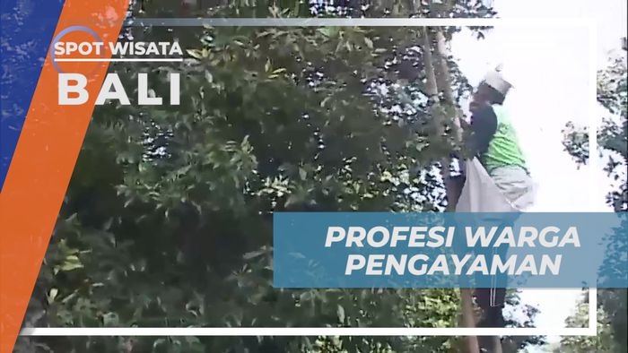 Melihat dari Dekat Keseharian Warga Kampung Muslim Pegayaman, Bali