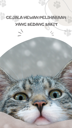 Sejumlah Perilaku Tidak Normal Hewan Peliharaan yang Perlu Diwaspadai