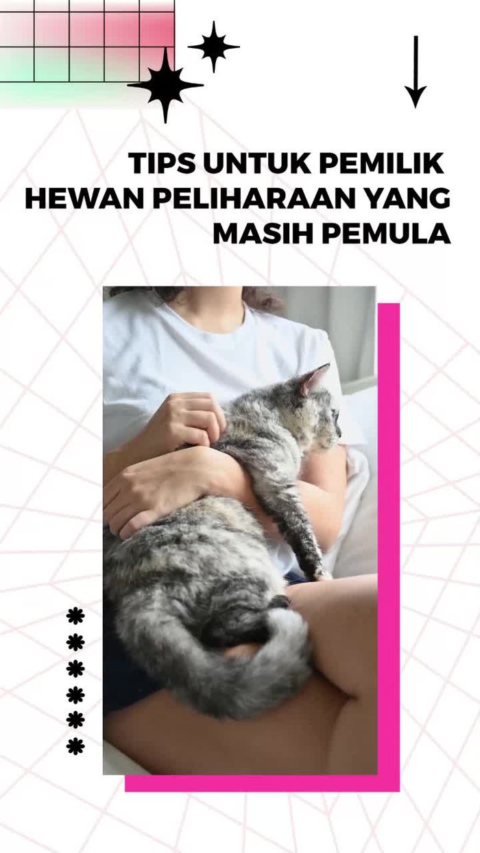  Calon Pemilik Wajib Perhatikan Hal Ini Sebelum Putuskan Adopsi Hewan