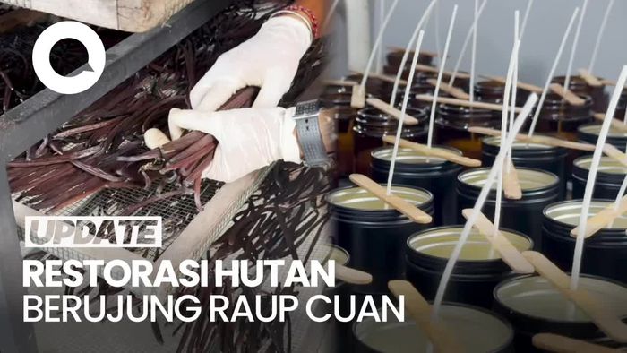 Lestarikan Hutan Sambil Budi Daya Kopi & Vanili, Pria Ini Raup Omzet Rp 7 M