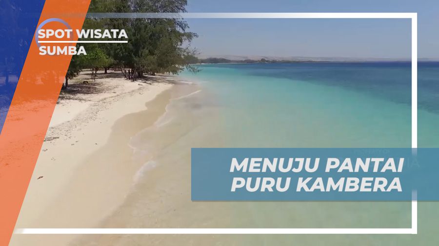 Hamparan Pasir Putih Indah Pantai Puru Kambera Sumba