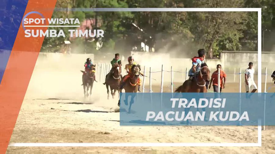 Berkenalan Dengan Tradisi Pacuan Kuda di Sumba Timur