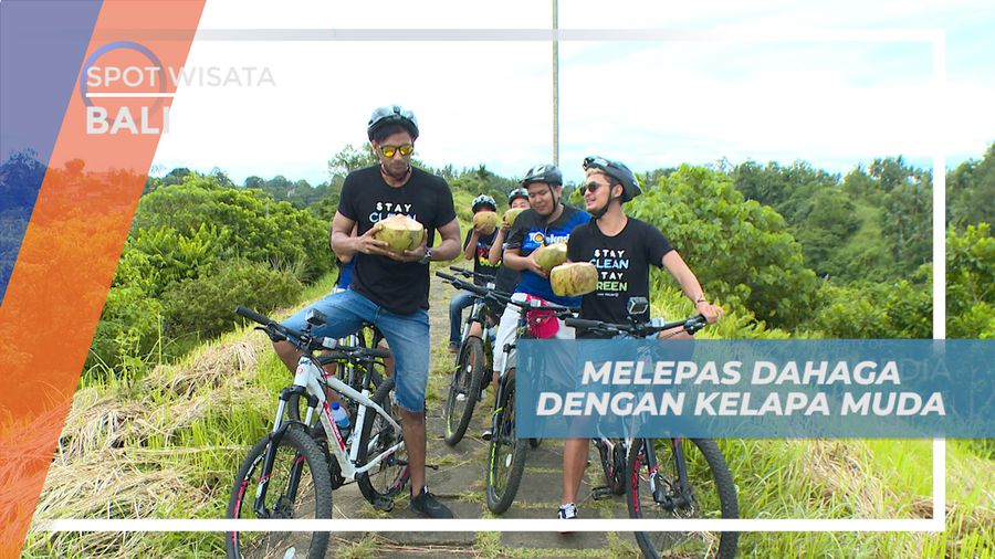 Rehat Sejenak, Melepas Dahaga Meneguk Kelapa Muda di Bukit Cinta, Bali