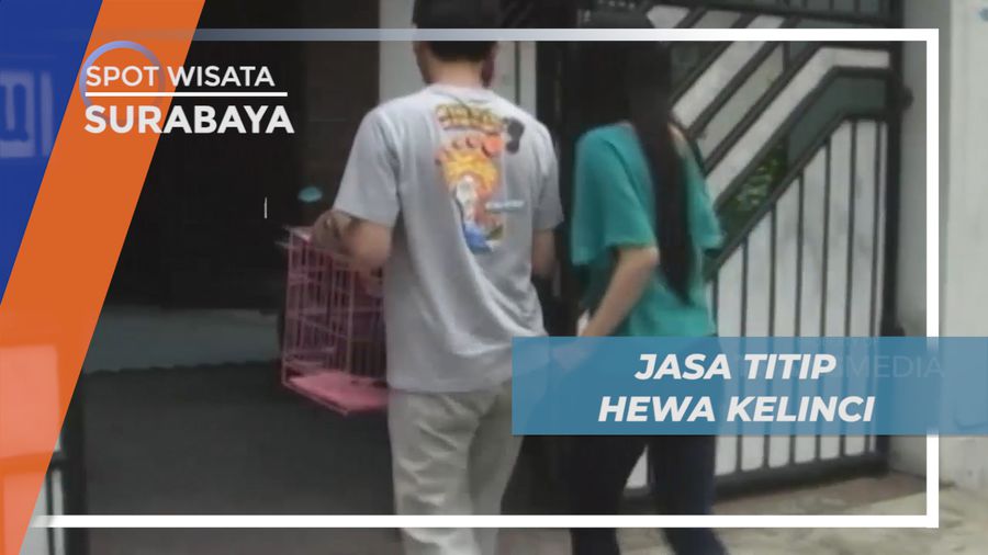 Meraup Cuan dari Jasa Penitipan Hewan Kelinci di Kota Pahlawan, Surabaya