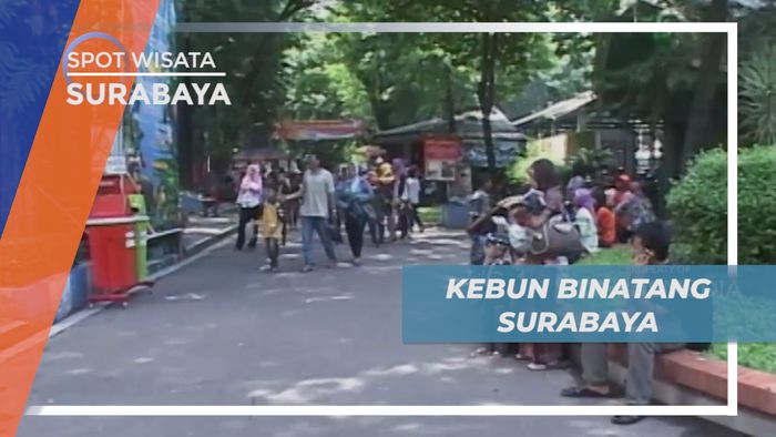 Mengisi Libur Panjang dengan Jalan-jalan di Kebun Binatang Surabaya