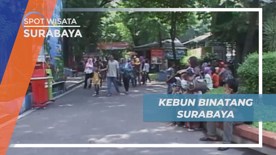 Mengisi Libur Panjang dengan Jalan-jalan di Kebun Binatang Surabaya