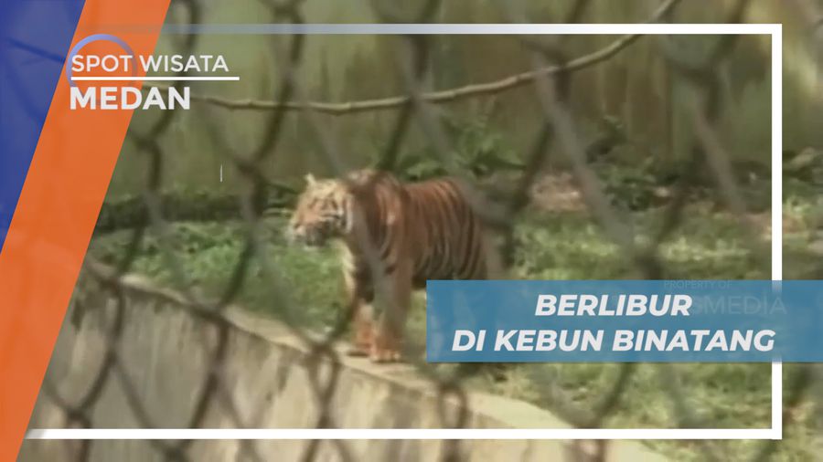 Mengisi Liburan, Mengunjungi Taman Wisata Satwa di Kota Medan