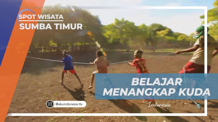Belajar Menangkap Kuda Liar di Sumba Timur