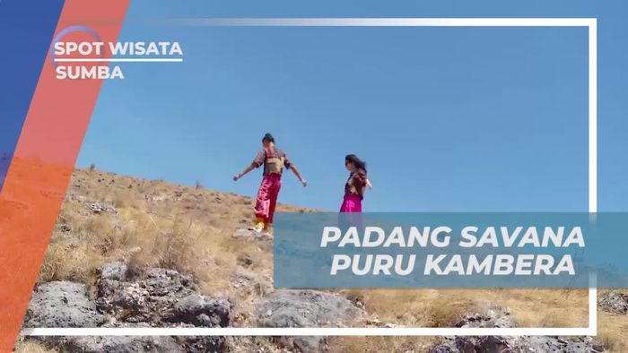 Puru Kambera, Padang Savana Luas Dengan Rumput dan Dedaunan Liar, Sumba