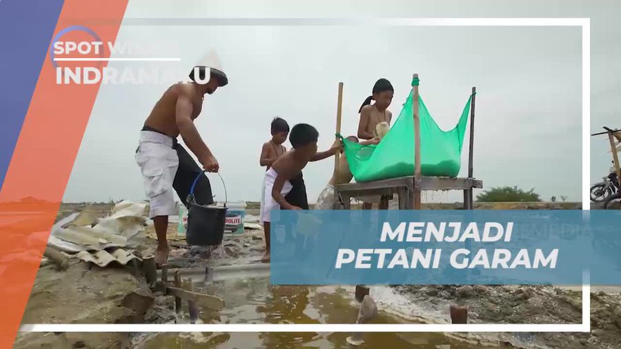 Petani Garam, Mayoritas Profesi Suku Dayak Indramayu