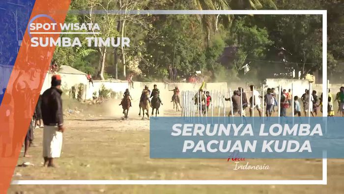 Adu Kecepatan Lomba Pacuan Kuda di Sumba Timur