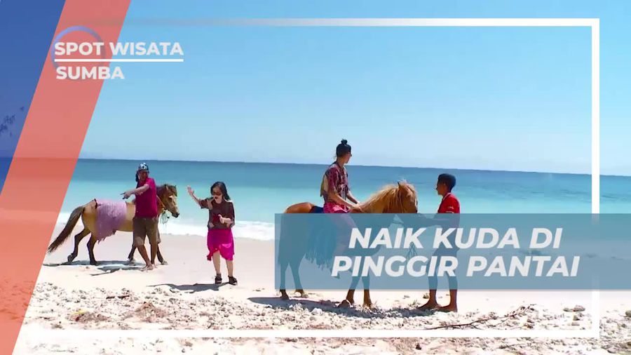 Naik Kuda Menyusuri Keindahan Pantai Puru Kambera Sumba