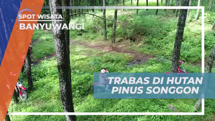 Melintasi Hijaunya Hutan Pinus Songgon Dengan Motor Cross, Banyuwangi