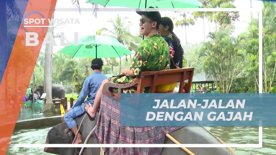 Naik Gajah Menikmati Suasana Alam Asri di Mason Elephant Park Bali