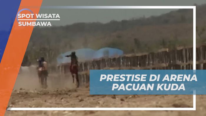 Main Jaran, Prestise Warga Sumbawa di Arean Pacuan Kuda, Sumbawa