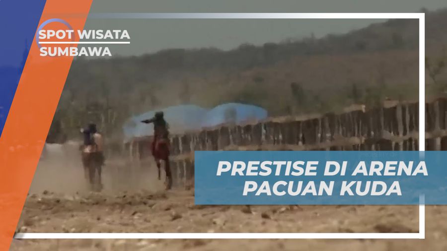 Main Jaran, Prestise Warga Sumbawa di Arean Pacuan Kuda, Sumbawa